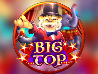 Microgaming game 19