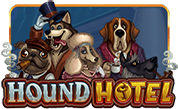 Microgaming game 229