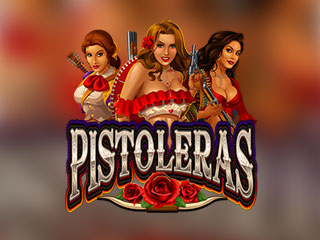 Microgaming game 378